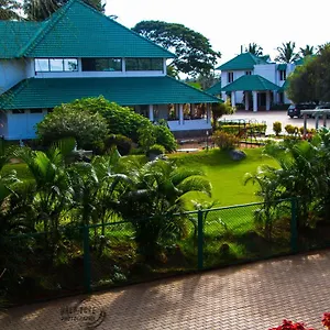Young Island Mysore